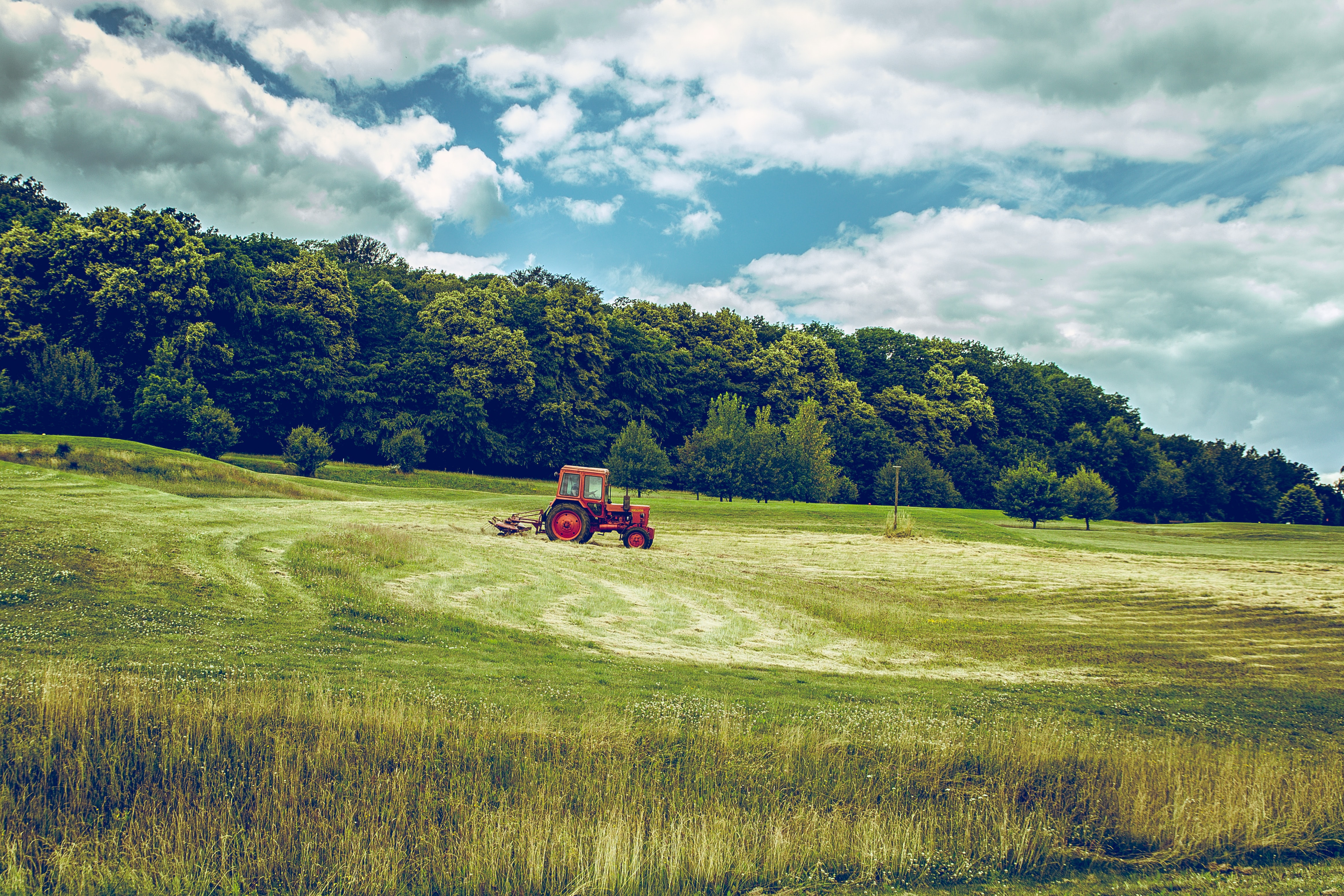 Pojazdy rolnicze – o czym należy pamiętać przy zakupie?